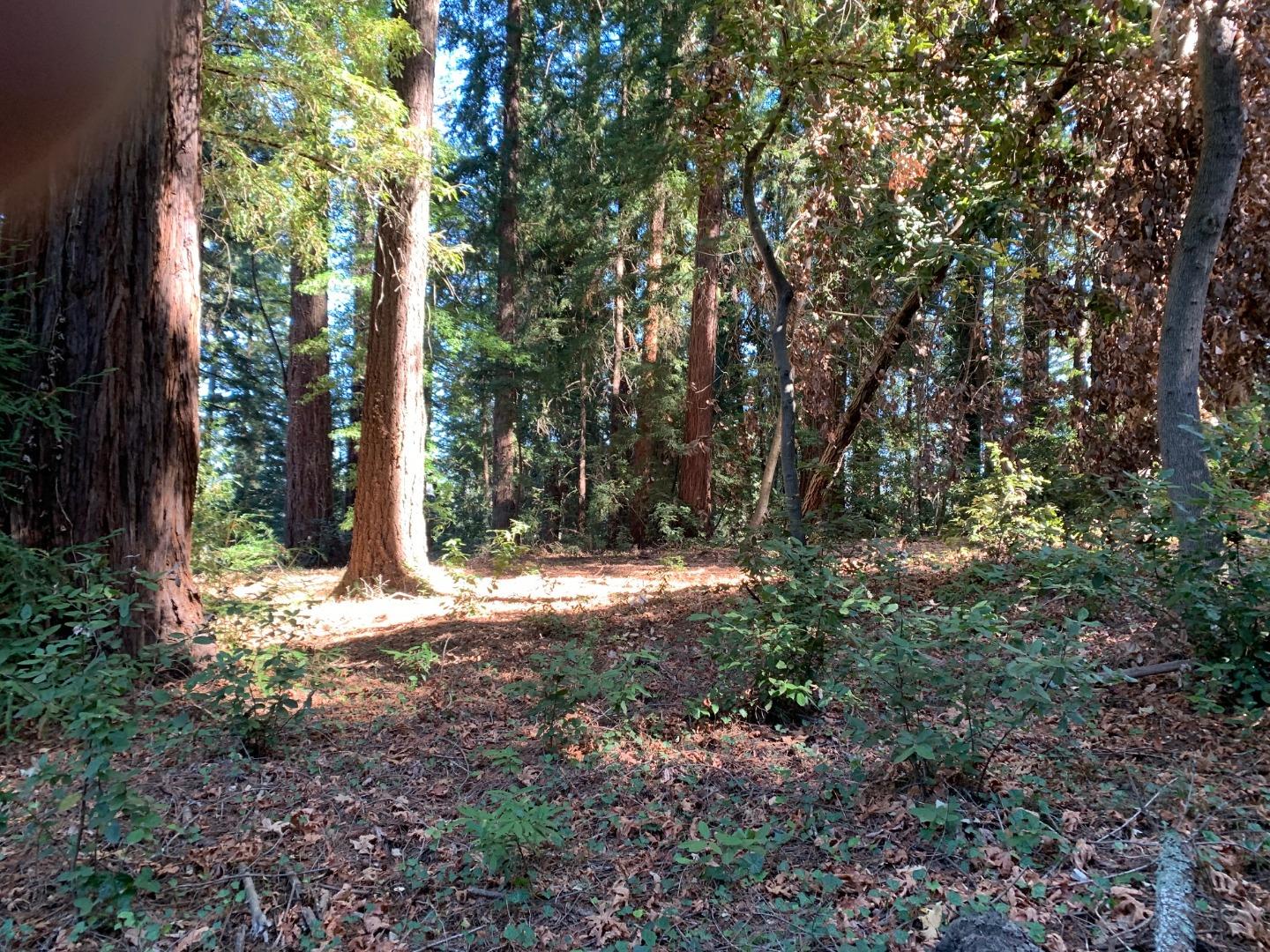 0 Helen Way, Los Gatos, CA, 95033