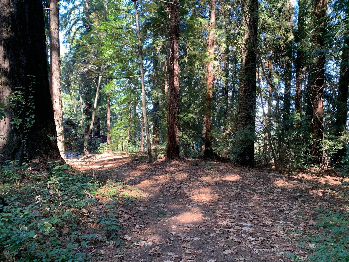 Detail Gallery Image 6 of 9 For 01 Santa Ana Rd, Los Gatos,  CA 95033 - – Beds | – Baths