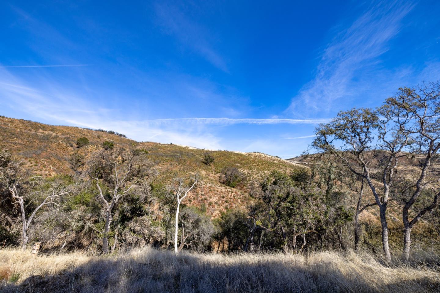 20803 Cachagua Road, Carmel Valley, California 93924, ,Land,For Sale,20803 Cachagua Road,ML81914161