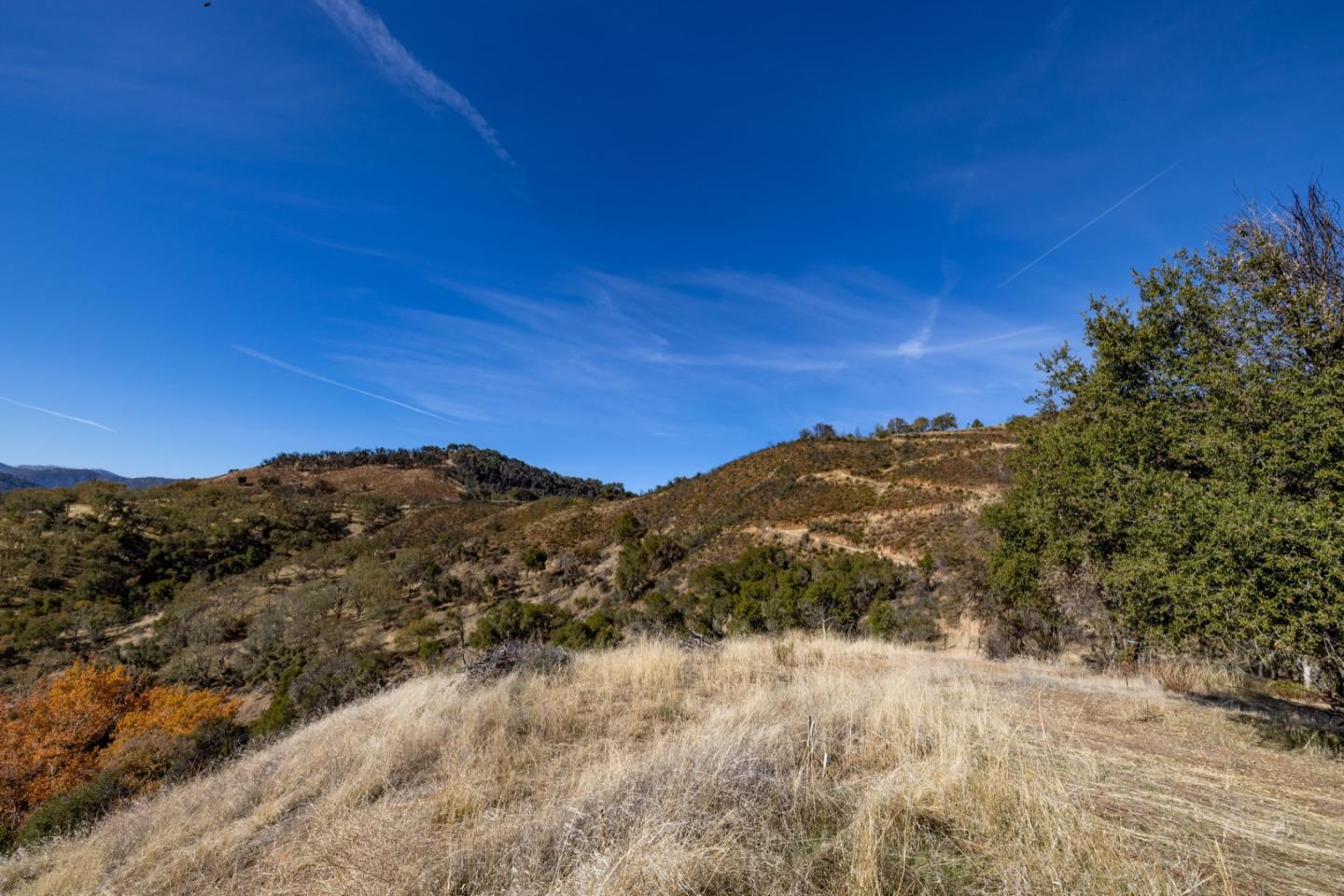 20803 Cachagua Road, Carmel Valley, California 93924, ,Land,For Sale,20803 Cachagua Road,ML81914161