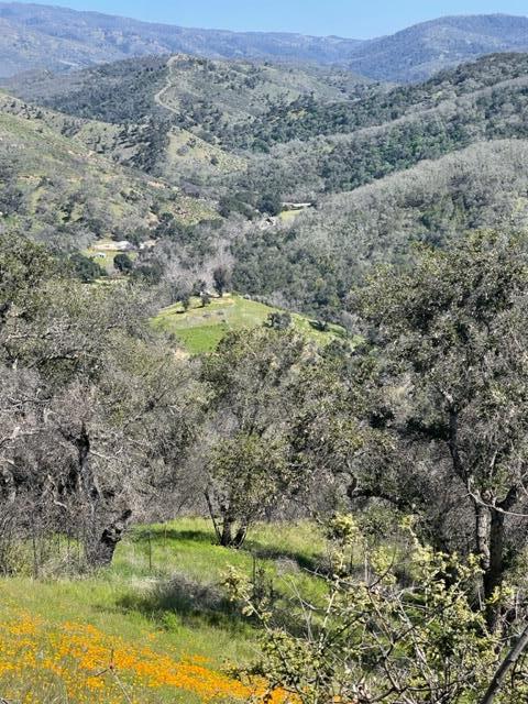 20803 Cachagua Road, Carmel Valley, California 93924, ,Land,For Sale,20803 Cachagua Road,ML81914161