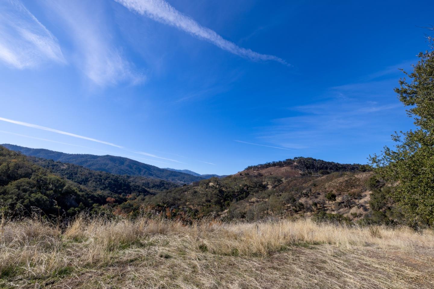 20803 Cachagua Road, Carmel Valley, California 93924, ,Land,For Sale,20803 Cachagua Road,ML81914161