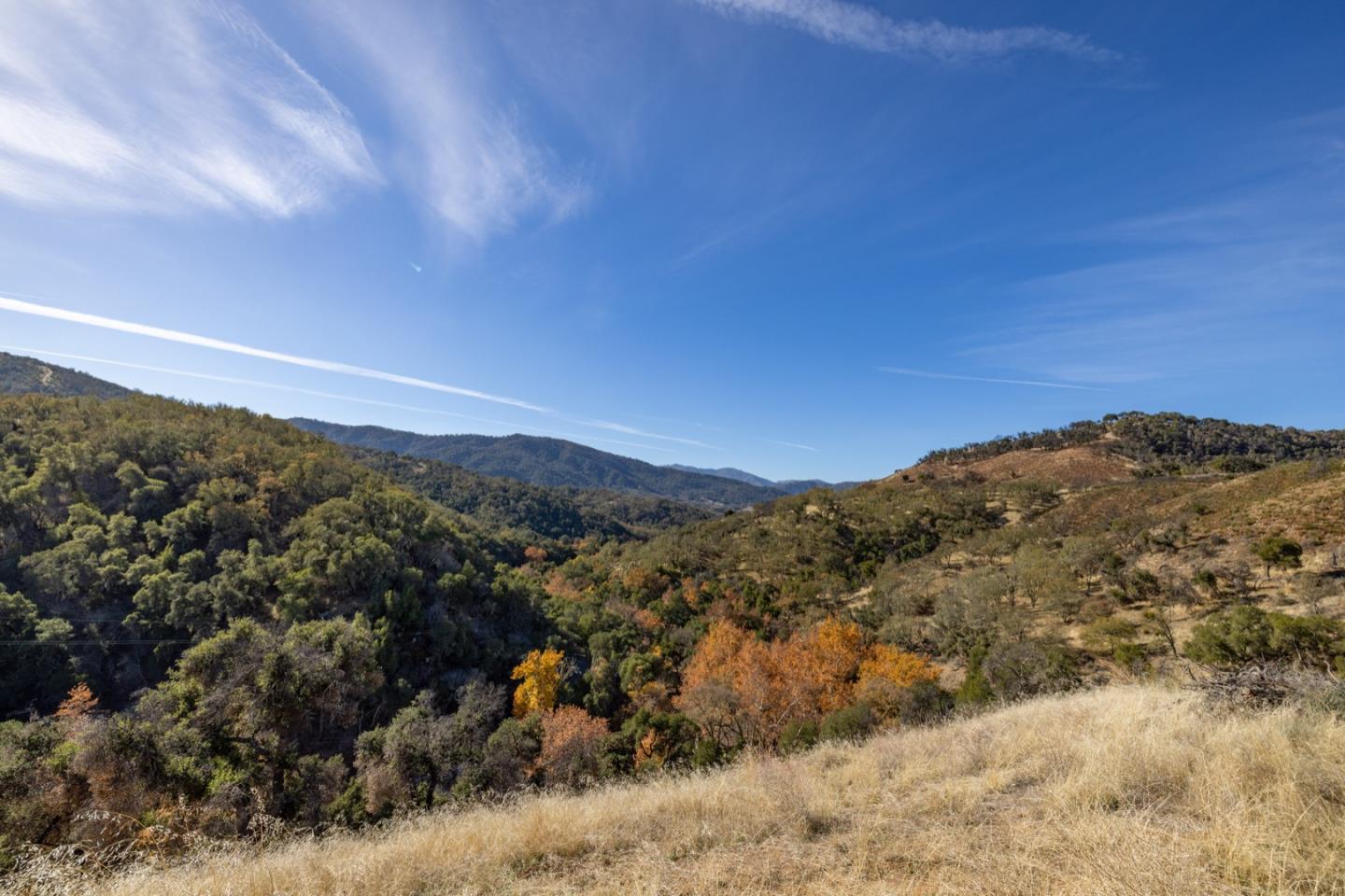 20803 Cachagua Road, Carmel Valley, California 93924, ,Land,For Sale,20803 Cachagua Road,ML81914161