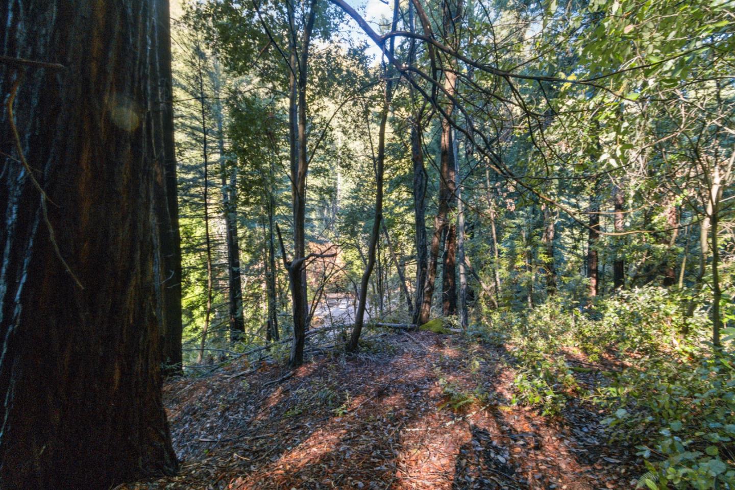 Detail Gallery Image 10 of 21 For Lot 321-06 Glenwood Dr, Scotts Valley,  CA 95066 - – Beds | – Baths