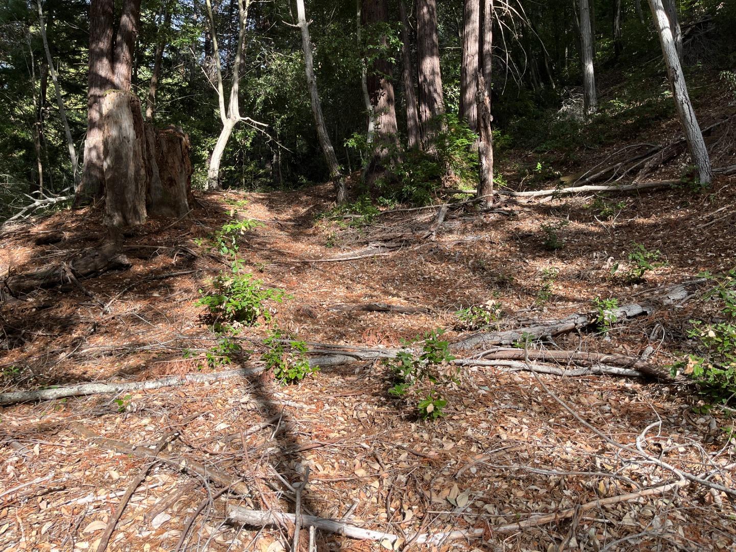 Detail Gallery Image 2 of 21 For Lot 321-06 Glenwood Dr, Scotts Valley,  CA 95066 - – Beds | – Baths