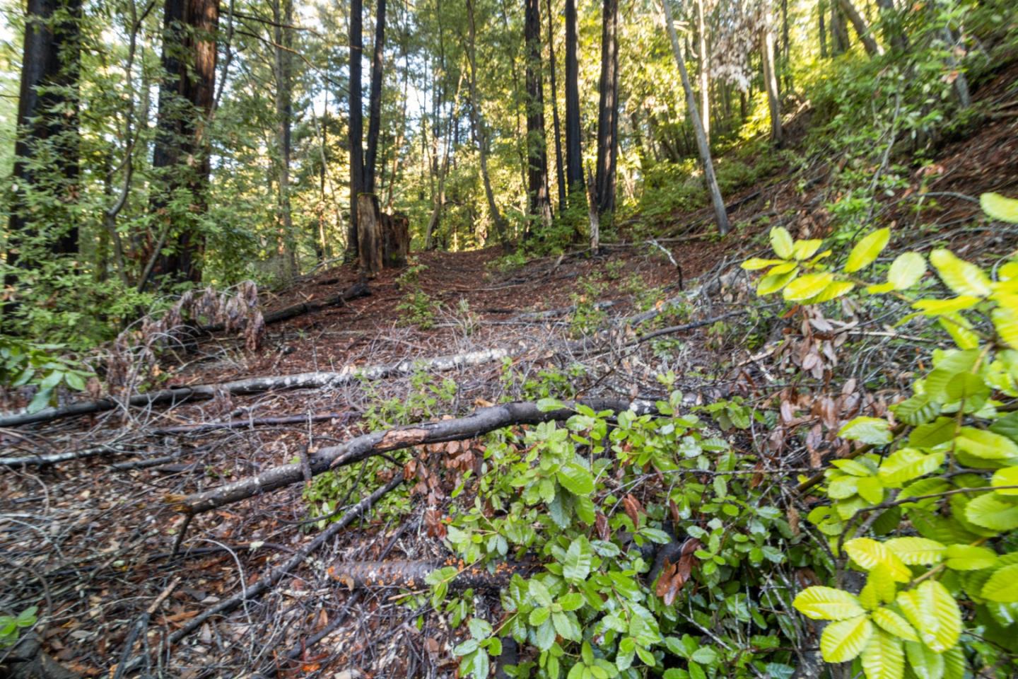 Detail Gallery Image 6 of 21 For Lot 321-06 Glenwood Dr, Scotts Valley,  CA 95066 - – Beds | – Baths
