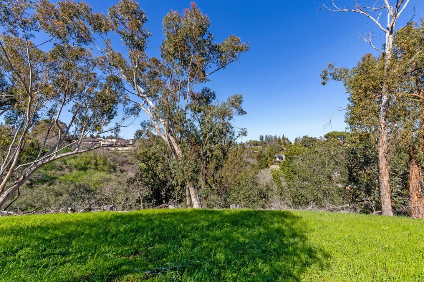 26737 Taaffe Road, Los Altos Hills, California 94022, ,Land,For Sale,26737 Taaffe Road,ML81918347