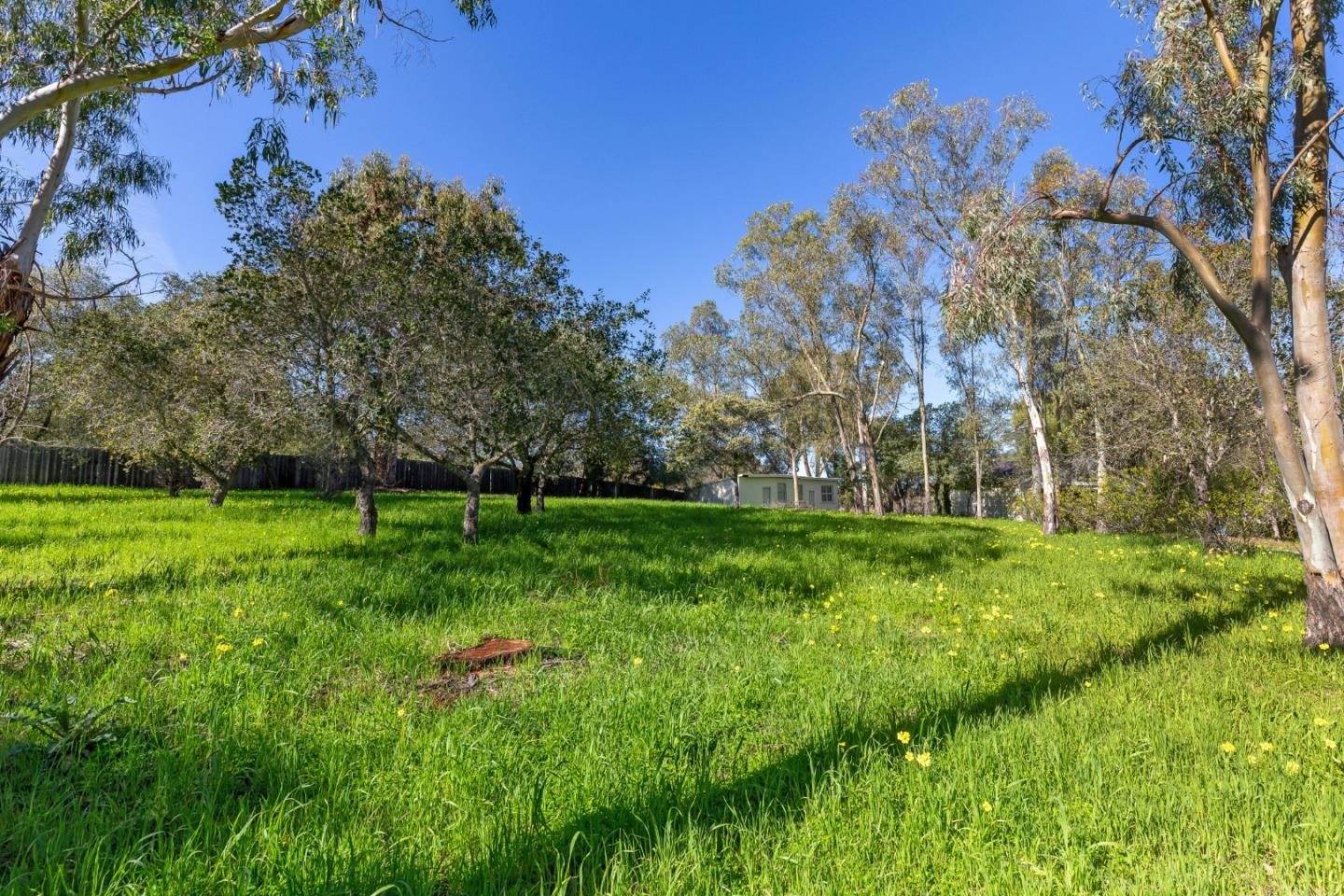 26737 Taaffe Road, Los Altos Hills, California 94022, ,Land,For Sale,26737 Taaffe Road,ML81918347