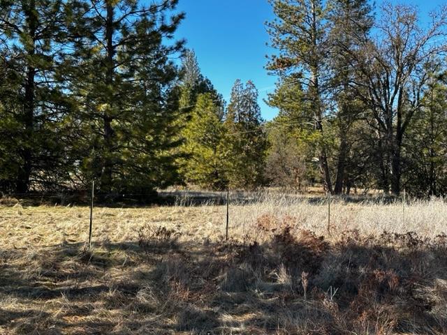 0000 Dogtown Rd, Coulterville, CA 95311
