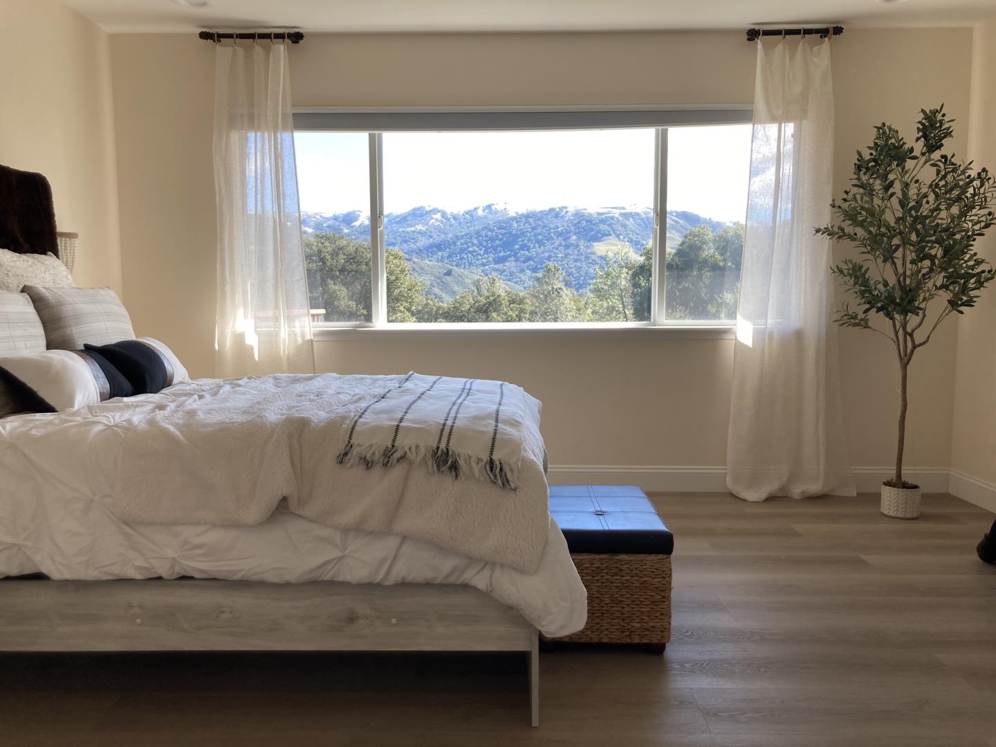 Detail Gallery Image 36 of 58 For 16165 Jackson Oaks Dr, Morgan Hill,  CA 95037 - 4 Beds | 2/1 Baths