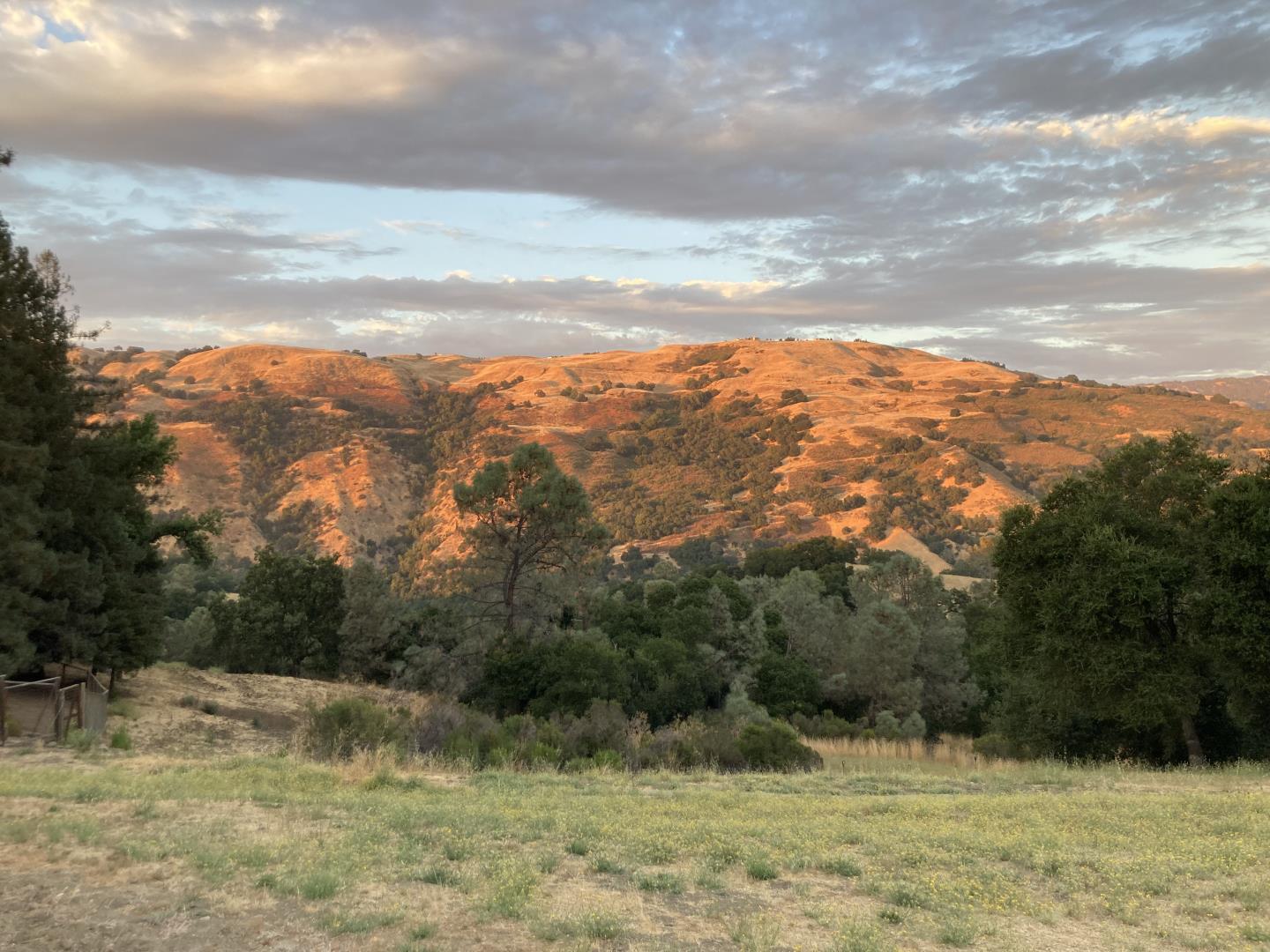 Detail Gallery Image 55 of 58 For 16165 Jackson Oaks Dr, Morgan Hill,  CA 95037 - 4 Beds | 2/1 Baths