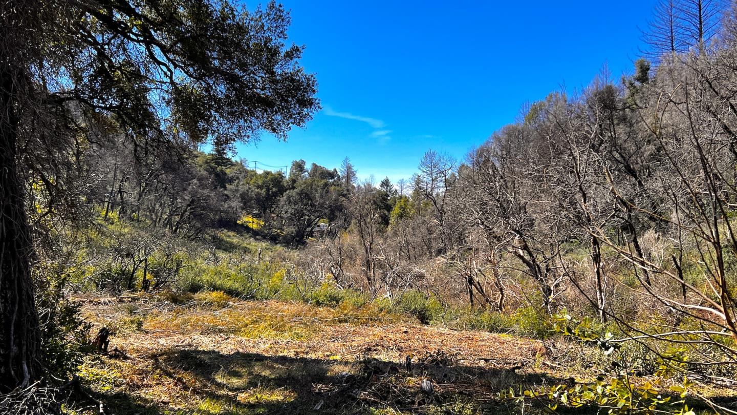 11035 Empire Grade, Santa Cruz, California 95060, ,Land,For Sale,11035 Empire Grade,ML81922831