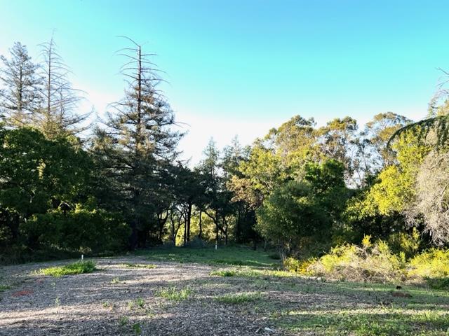 Detail Gallery Image 11 of 18 For 19335 Overlook Rd, Los Gatos,  CA 95030 - – Beds | – Baths