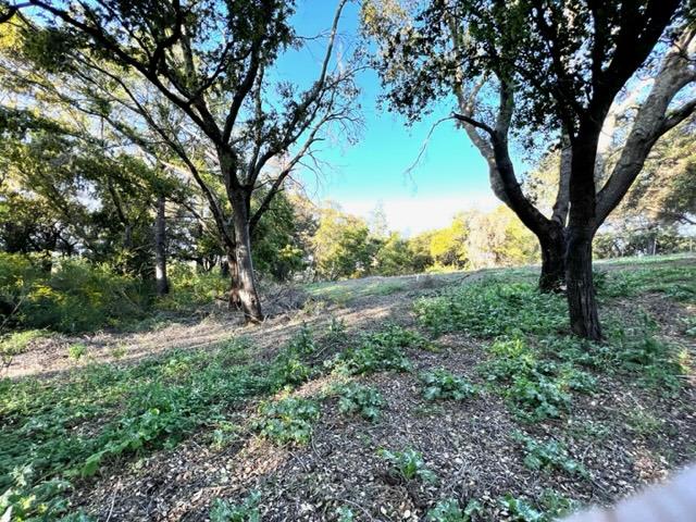 Detail Gallery Image 4 of 18 For 19335 Overlook Rd, Los Gatos,  CA 95030 - – Beds | – Baths