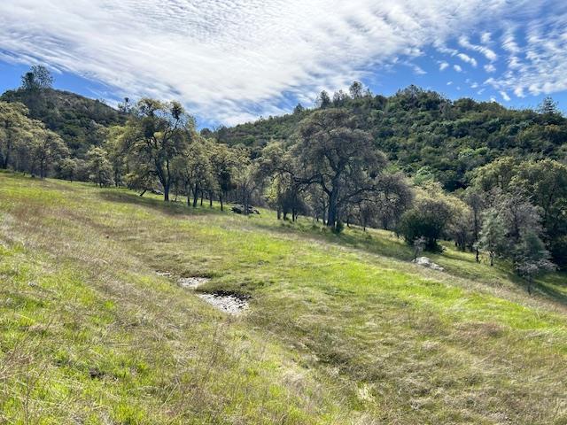 Detail Gallery Image 9 of 12 For 0 Moccasin Ranch Rd, La Grange_TUM,  CA 95329 - – Beds | – Baths