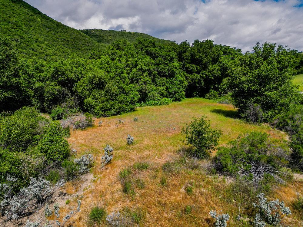 43575 Carmel Valley Road, Greenfield, California 93927, ,Land,For Sale,43575 Carmel Valley Road,ML81927437