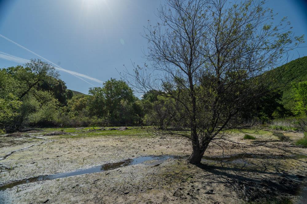 43575 Carmel Valley Road, Greenfield, California 93927, ,Land,For Sale,43575 Carmel Valley Road,ML81927437