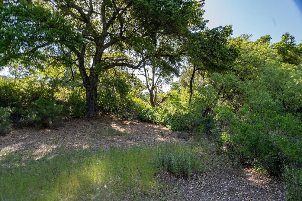 43575 Carmel Valley Road, Greenfield, California 93927, ,Land,For Sale,43575 Carmel Valley Road,ML81927437