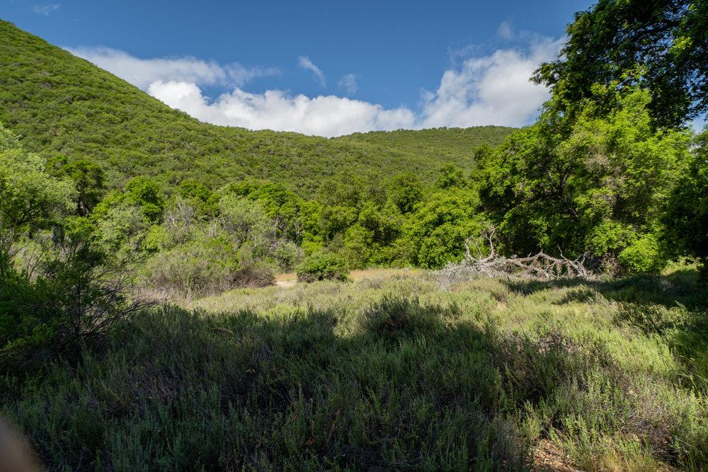 43575 Carmel Valley Road, Greenfield, California 93927, ,Land,For Sale,43575 Carmel Valley Road,ML81927437