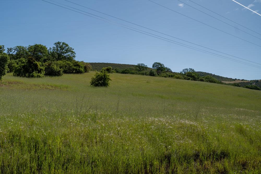 43575 Carmel Valley Road, Greenfield, California 93927, ,Land,For Sale,43575 Carmel Valley Road,ML81927437