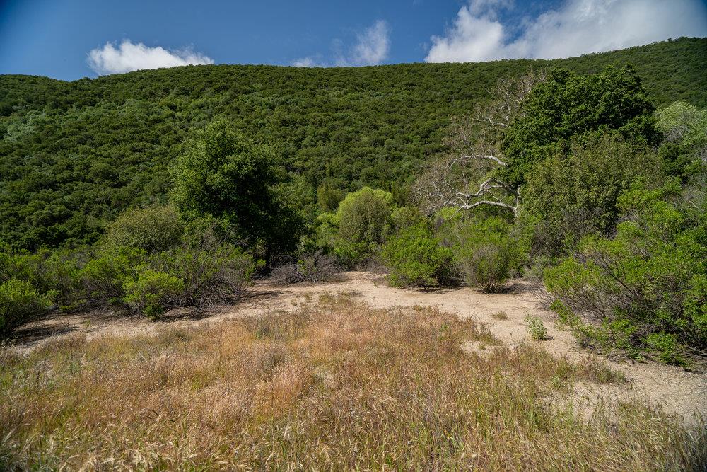 43575 Carmel Valley Road, Greenfield, California 93927, ,Land,For Sale,43575 Carmel Valley Road,ML81927437