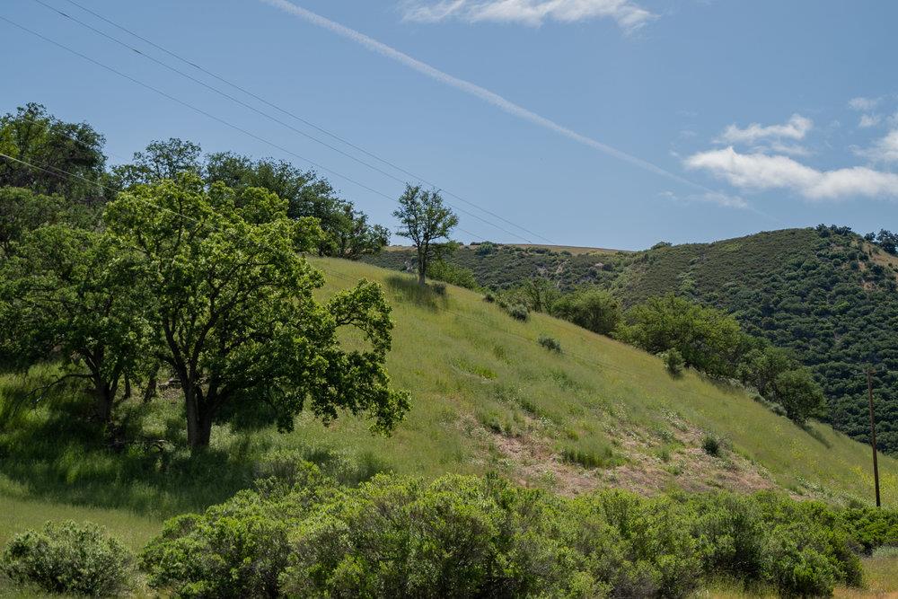 43575 Carmel Valley Road, Greenfield, California 93927, ,Land,For Sale,43575 Carmel Valley Road,ML81927437