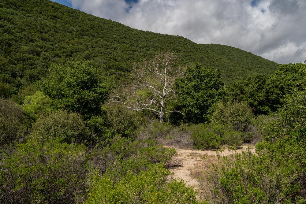 43575 Carmel Valley Road, Greenfield, California 93927, ,Land,For Sale,43575 Carmel Valley Road,ML81927437