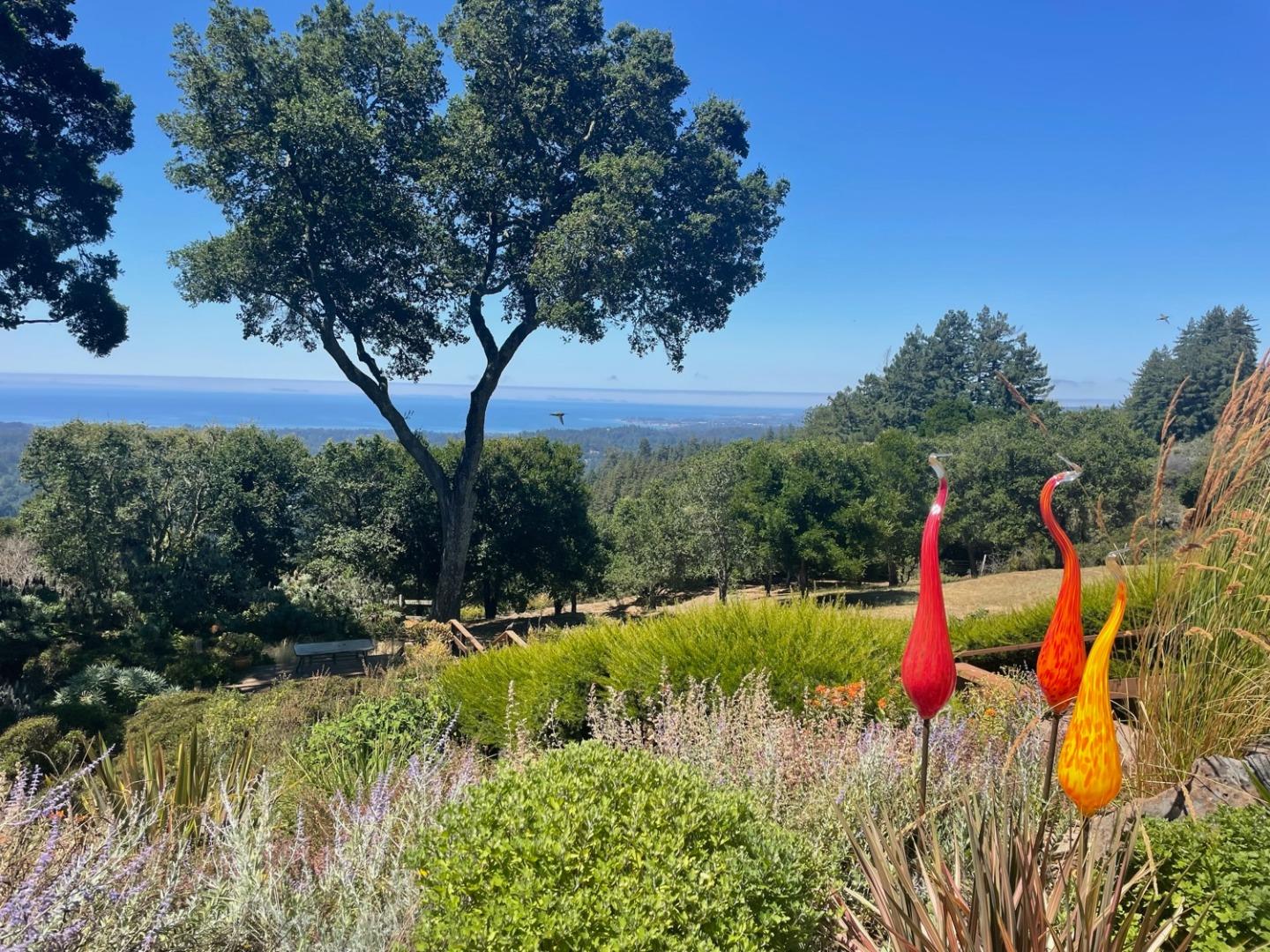 Detail Gallery Image 20 of 136 For 350 Corralitos Ridge Rd, Corralitos,  CA 95076 - 4 Beds | 3 Baths