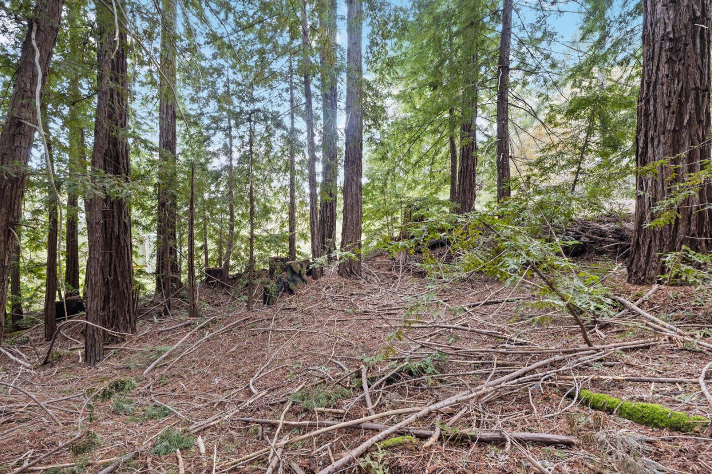 Detail Gallery Image 35 of 43 For Lot 44 South Skyview Rd, Boulder Creek,  CA 95006 - – Beds | – Baths