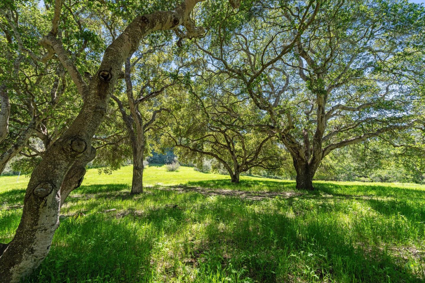 Detail Gallery Image 2 of 15 For 20 Tehama (Lot 38), Carmel,  CA 93923 - – Beds | – Baths