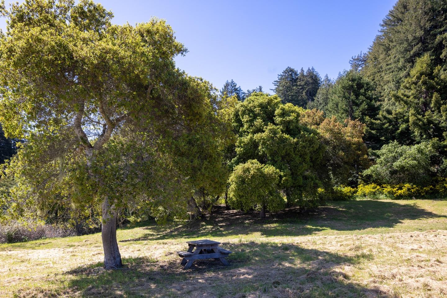 Detail Gallery Image 1 of 8 For 20 Potrero Trl, Carmel,  CA 93923 - – Beds | – Baths