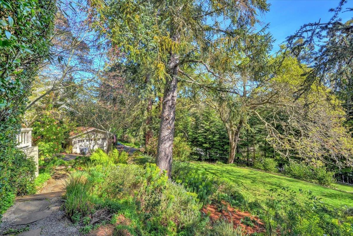 Detail Gallery Image 73 of 83 For 1077 Portola Rd, Portola Valley,  CA 94028 - 5 Beds | 3/1 Baths