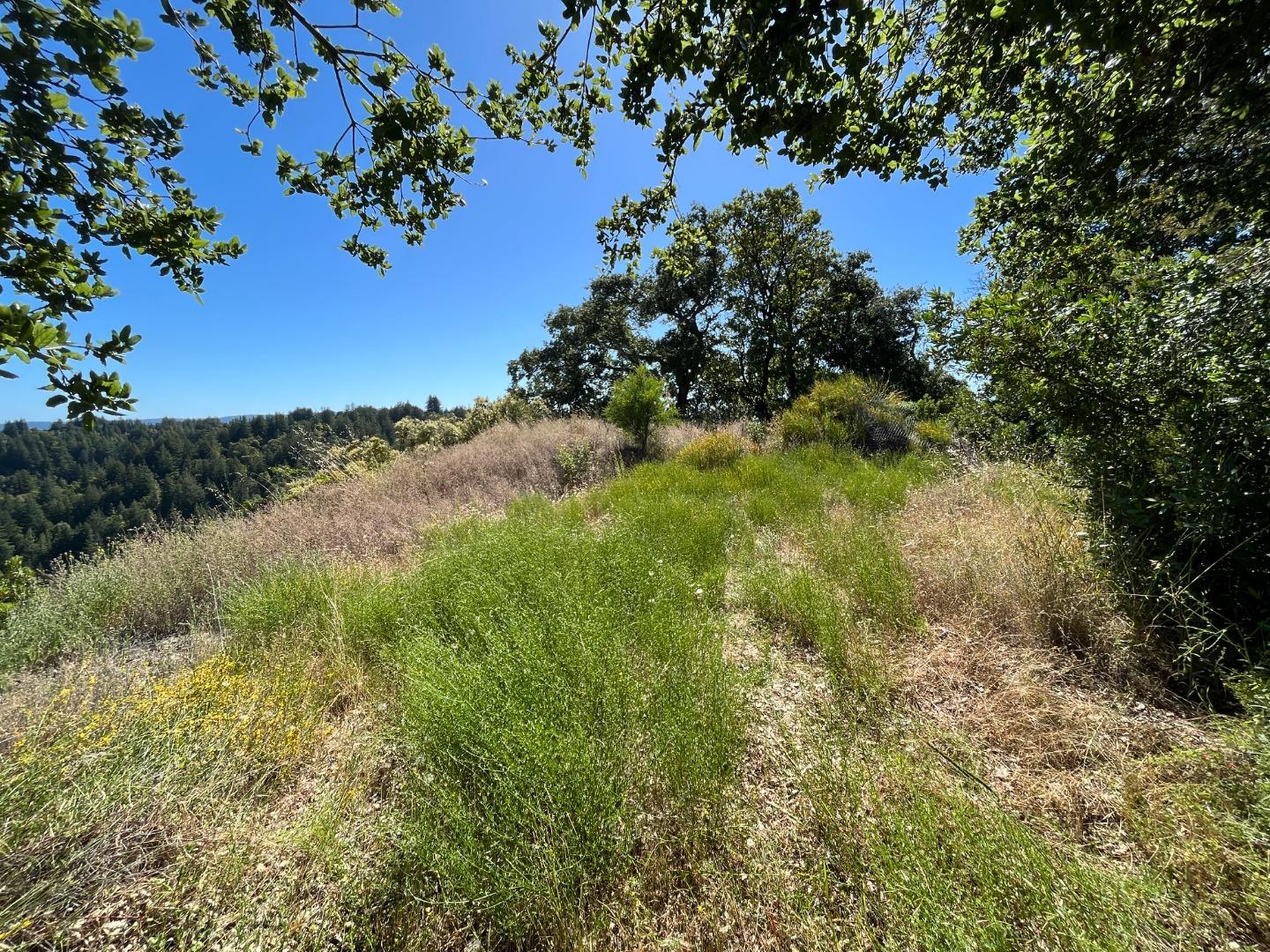 Detail Gallery Image 11 of 21 For Lot 11 Bear Canyon Rd, Los Gatos,  CA 95033 - – Beds | – Baths