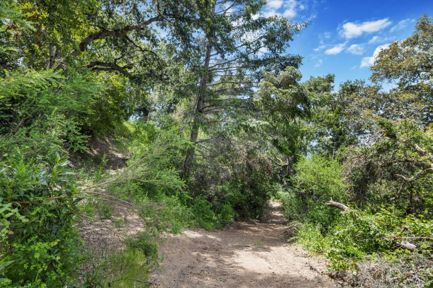 Detail Gallery Image 26 of 54 For Lot 12 Bear Canyon Rd, Los Gatos,  CA 95033 - – Beds | – Baths