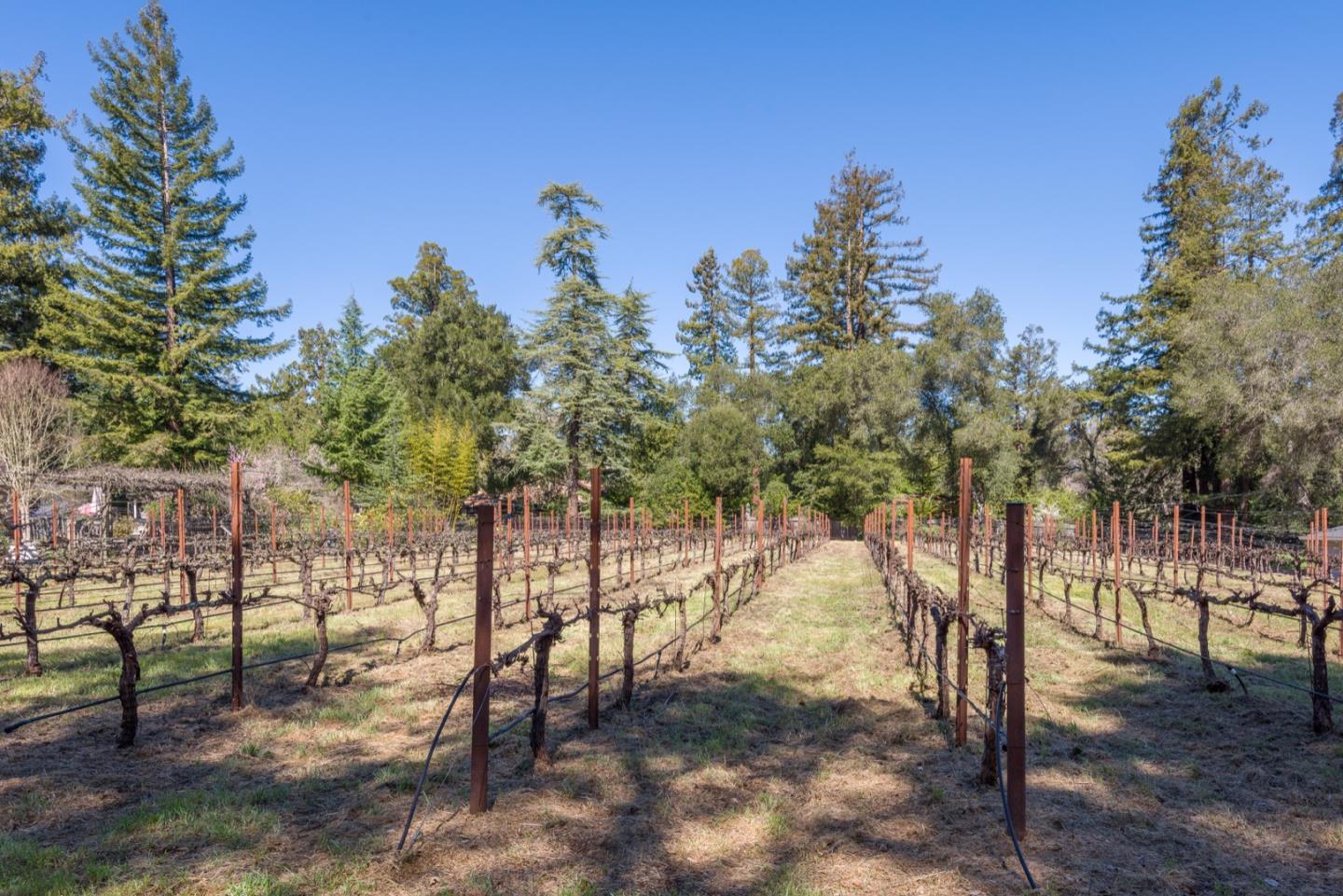 Detail Gallery Image 22 of 31 For 675 Manzanita Way, Woodside,  CA 94062 - 4 Beds | 2/1 Baths