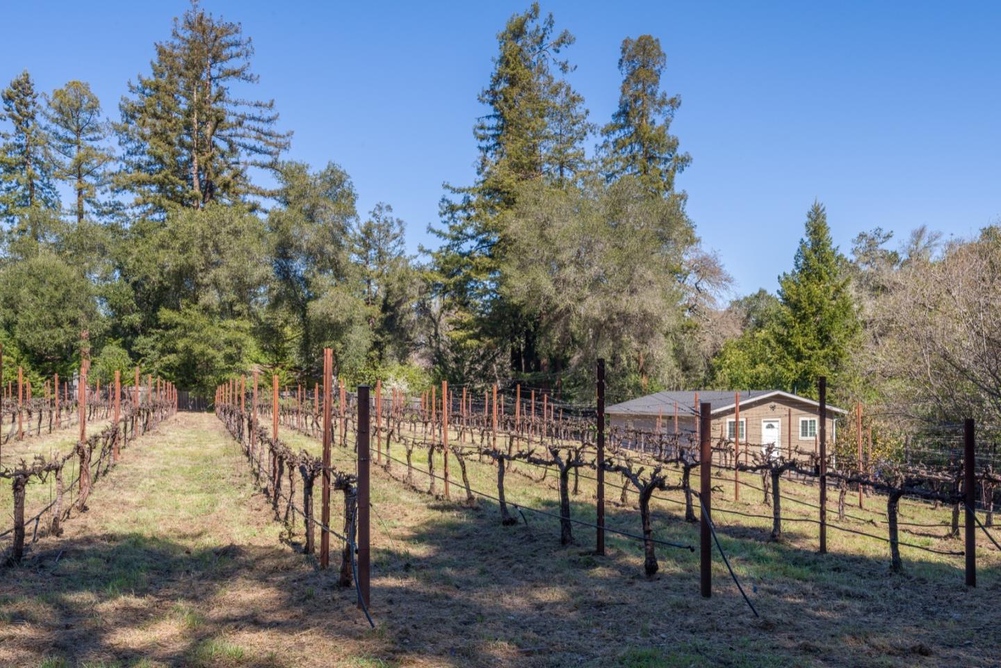 Detail Gallery Image 23 of 31 For 675 Manzanita Way, Woodside,  CA 94062 - 4 Beds | 2/1 Baths