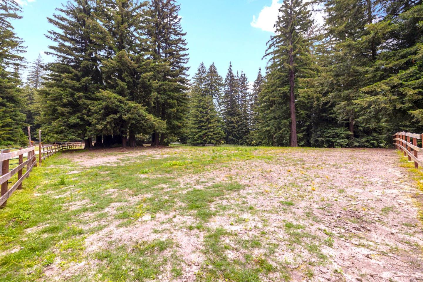 3675 Bonny Doon Road, Santa Cruz, California 95060, ,Land,For Sale,3675 Bonny Doon Road,ML81930662