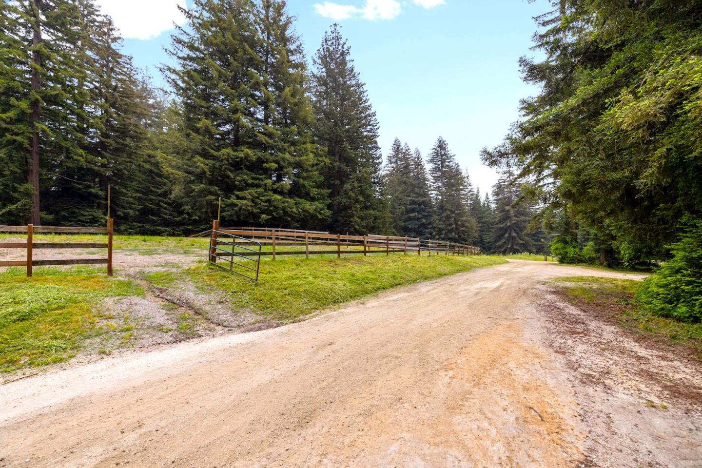 3675 Bonny Doon Road, Santa Cruz, California 95060, ,Land,For Sale,3675 Bonny Doon Road,ML81930662