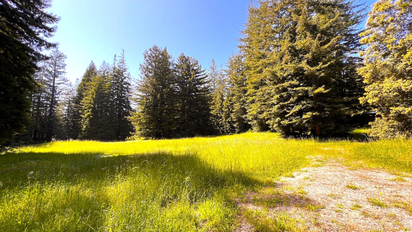 3675 Bonny Doon Road, Santa Cruz, California 95060, ,Land,For Sale,3675 Bonny Doon Road,ML81930662