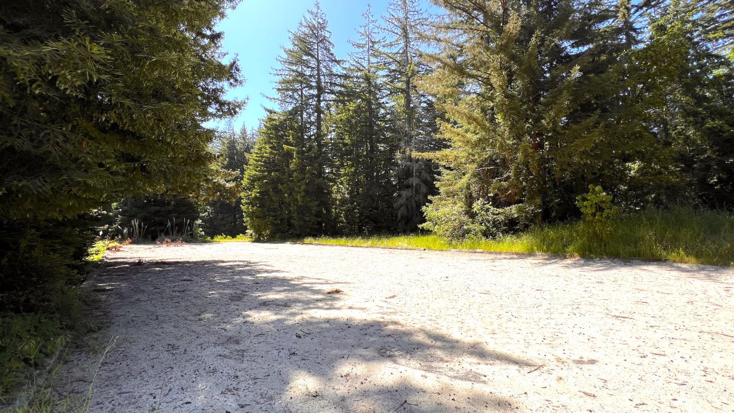 3675 Bonny Doon Road, Santa Cruz, California 95060, ,Land,For Sale,3675 Bonny Doon Road,ML81930662