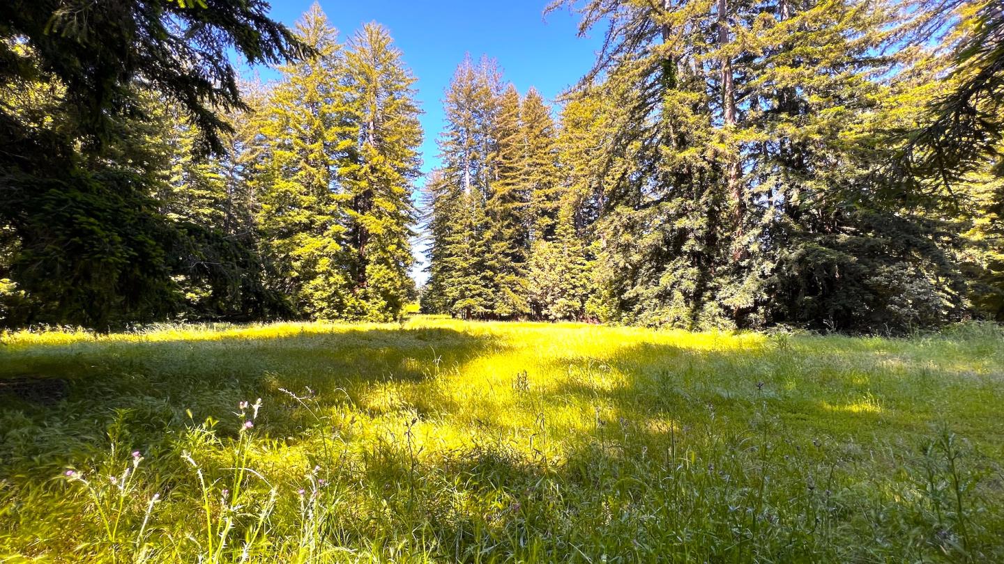 3675 Bonny Doon Road, Santa Cruz, California 95060, ,Land,For Sale,3675 Bonny Doon Road,ML81930662