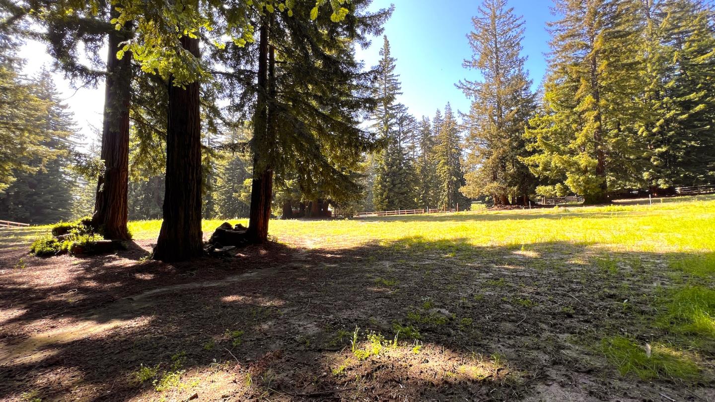 3675 Bonny Doon Road, Santa Cruz, California 95060, ,Land,For Sale,3675 Bonny Doon Road,ML81930662