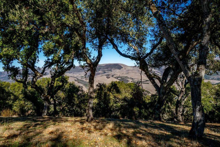 Detail Gallery Image 1 of 32 For 17114 Cachagua Rd, Carmel Valley,  CA 93924 - – Beds | – Baths