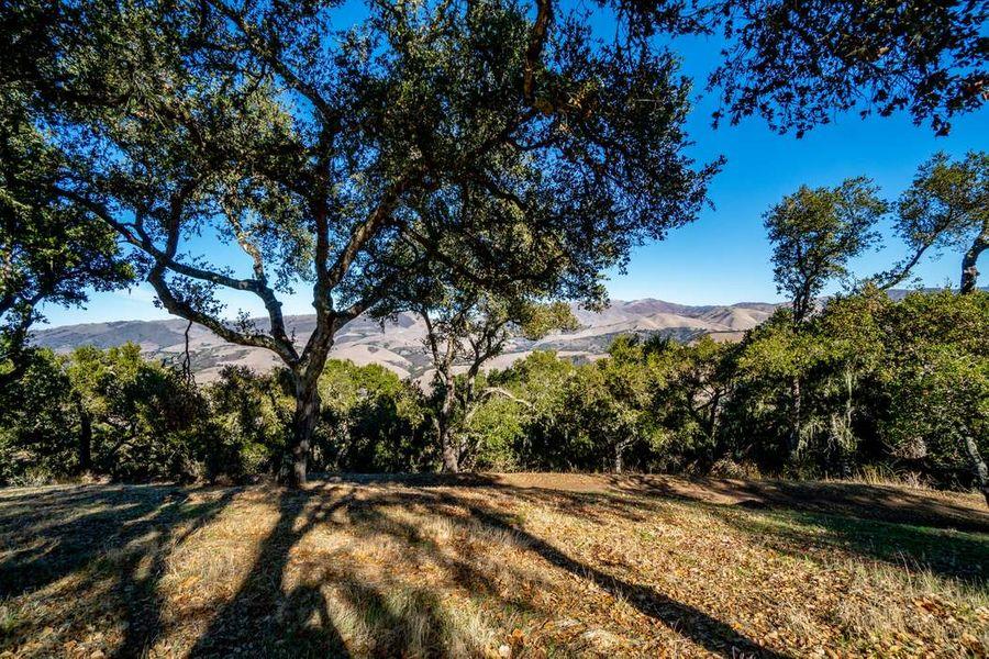 Detail Gallery Image 22 of 32 For 17114 Cachagua Rd, Carmel Valley,  CA 93924 - – Beds | – Baths