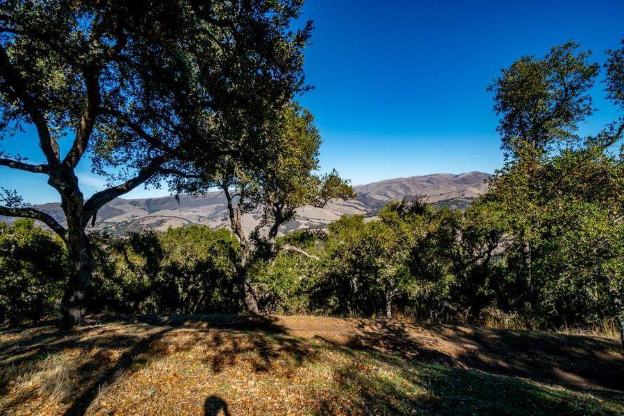 Detail Gallery Image 23 of 32 For 17114 Cachagua Rd, Carmel Valley,  CA 93924 - – Beds | – Baths