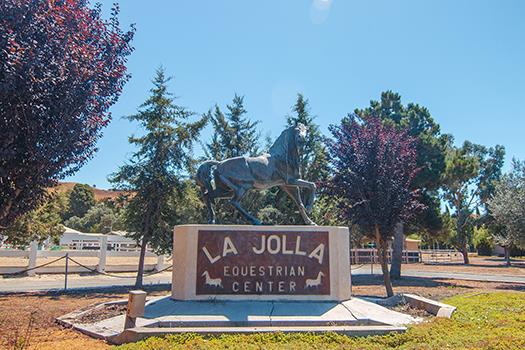 Iconic, East Bay premiere equestrian facility. La Jolla Equestrian Facility is located on over 10 flat, usable acres. The property includes 65 stall and stall and paddock combinations. Arenas include a full dressage court, outdoor jumping arena, covered, lighted, with mirrors arena and two covered, fully enclosed round pens. All arenas have excellent Geotech footing. There are 11 turnouts, 9 large, and two smaller ones.The main home is 4600 SF+ with seven bedrooms and four baths, two kitchens, jacuzzi, and sunroom. Additional possible staff or income generating homes include a 2 bedroom 2 bath apartment, and 2 bedroom, 2 bath manufactured, plus multiple additional units. This turnkey equestrian property is close to Blackhawk, 580/680 freeways, shopping and Mt. Diablo trail access.