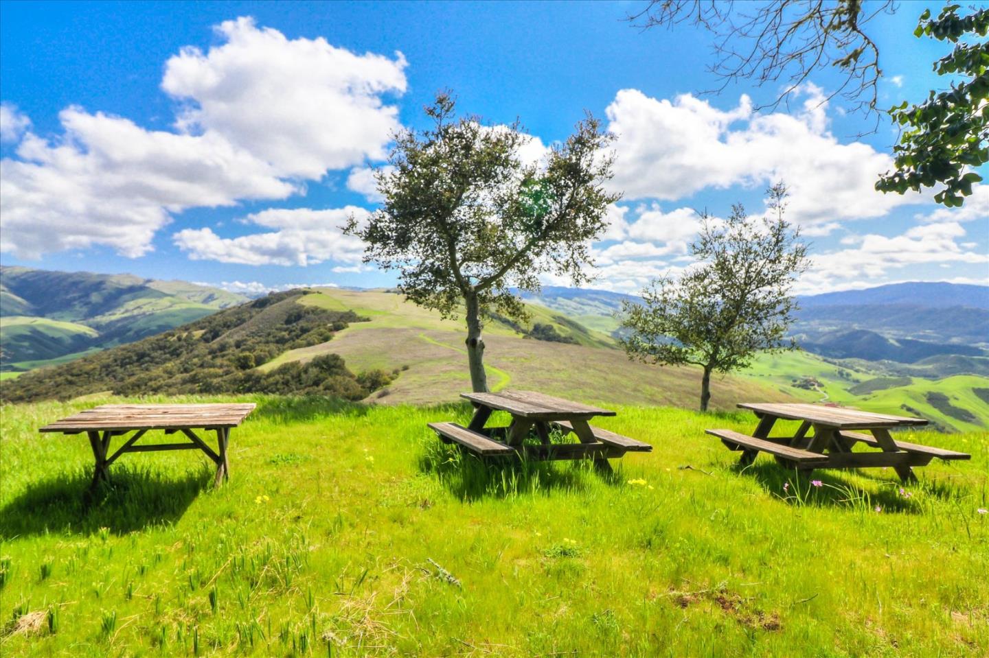 Detail Gallery Image 48 of 74 For Weathertop Ranch, 500 El Caminito Road, Carmel Valley,  CA 93924 - 7 Beds | 7/1 Baths