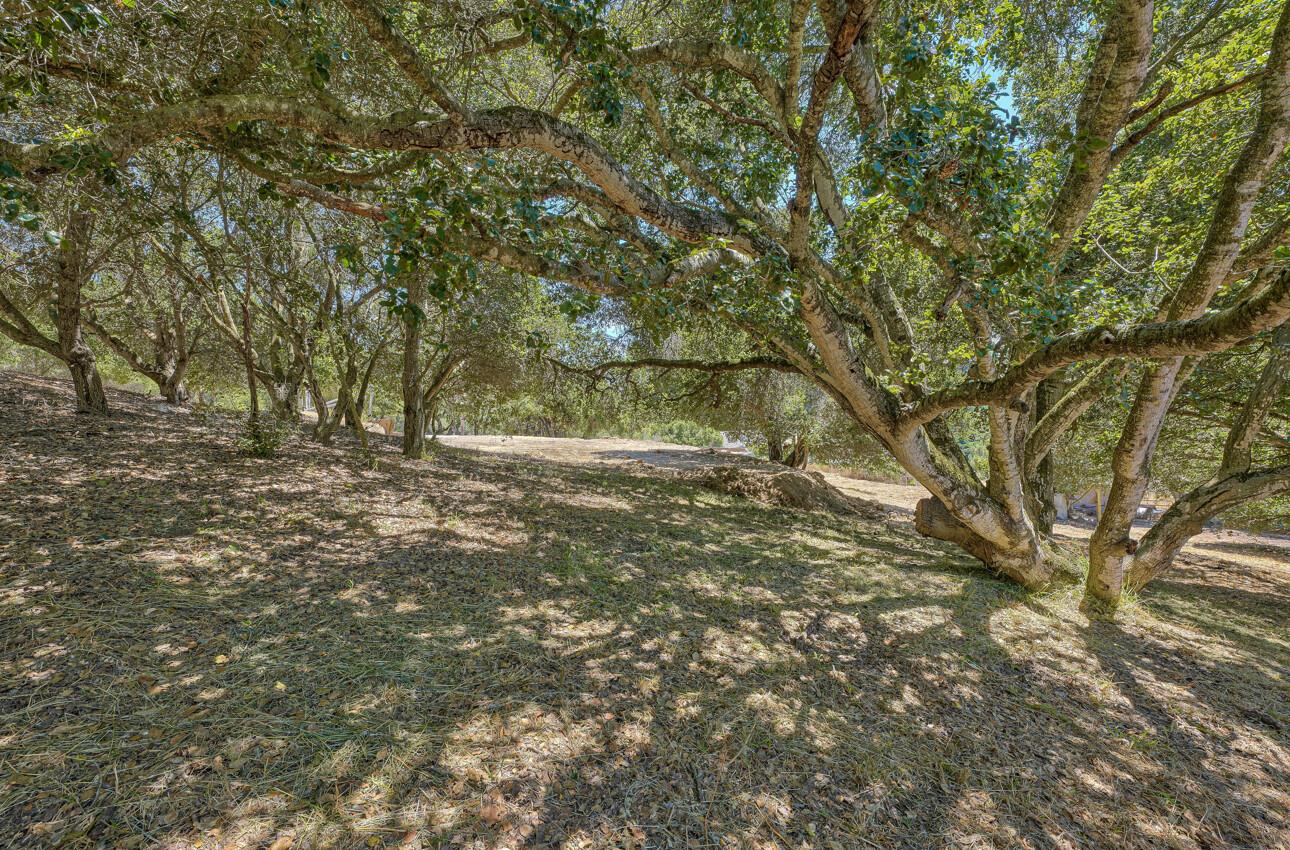 Detail Gallery Image 9 of 17 For 3085 Executive Dr, Salinas,  CA 93907 - – Beds | – Baths