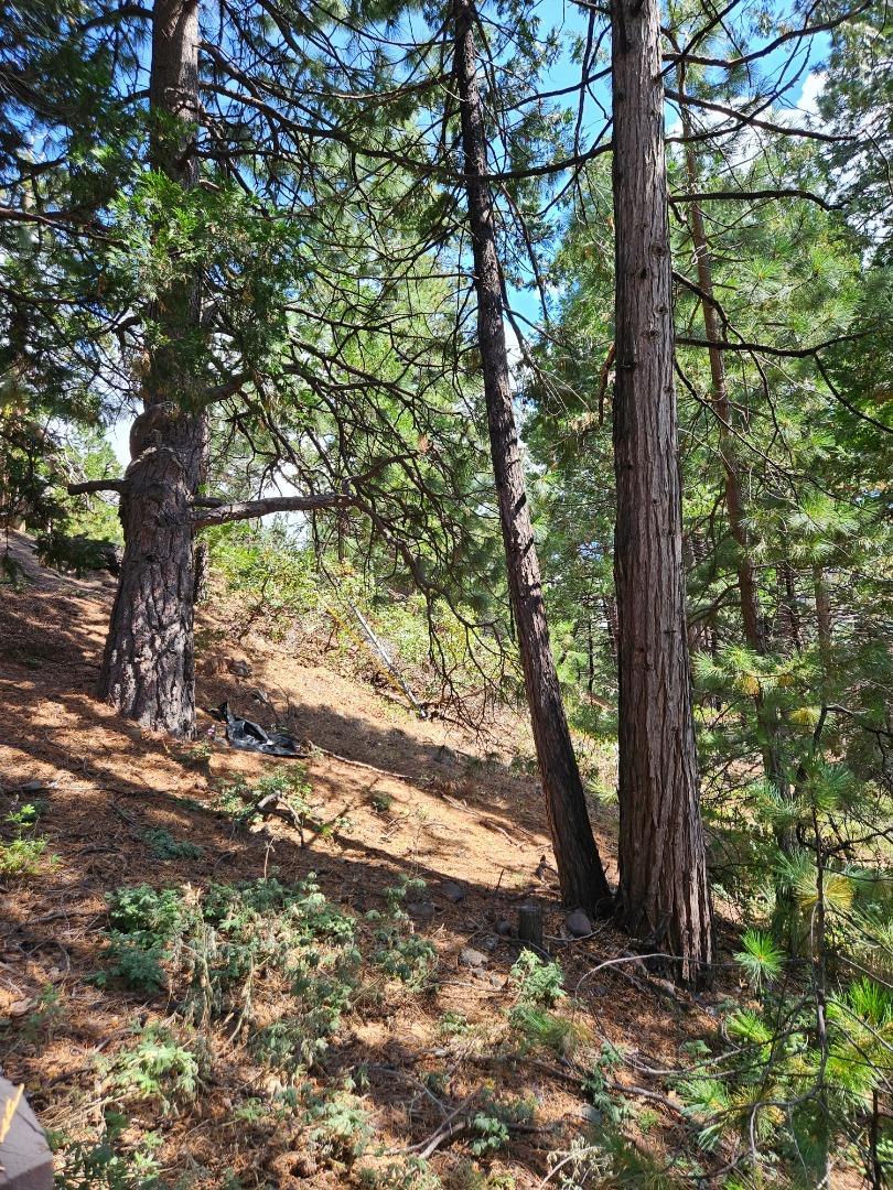Detail Gallery Image 21 of 77 For 26399 Old Mono Rd, Cold Springs,  CA 95335 - 3 Beds | 2 Baths