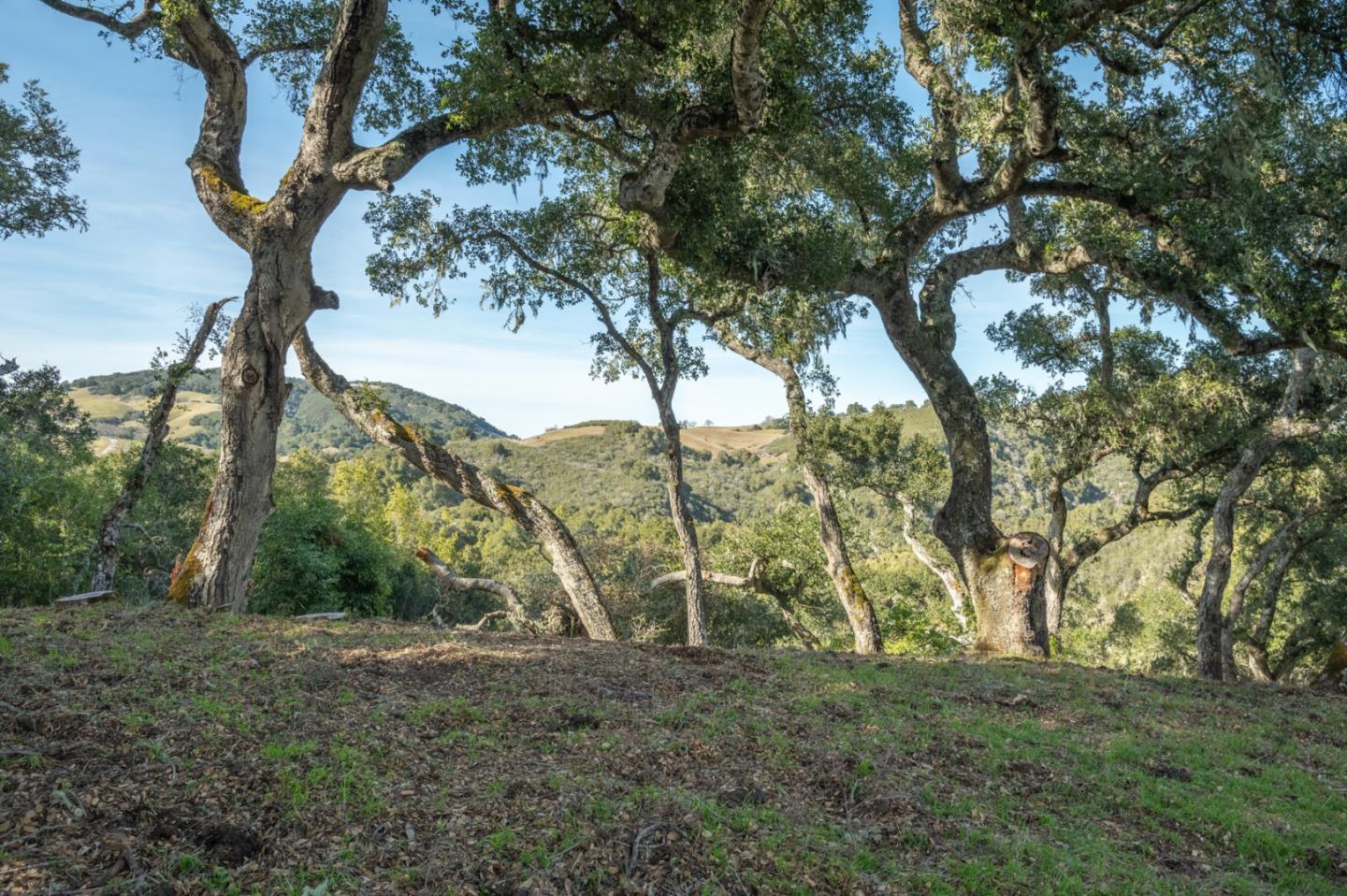 Thumbnail for 5 Vasquez Trail (Lot 170), Carmel, CA 93923